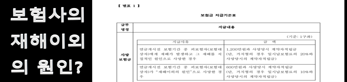 메롤뉴스 - 주계약( 사망보험금특약 +캐어프리보험금)  재해보장특약 (사망보험금 +재해장해급여금) 등 질병의료보장, 재해보장(장해진단금), CI추가보장  등 누락  증빙자료 손상 중독 자료 찾